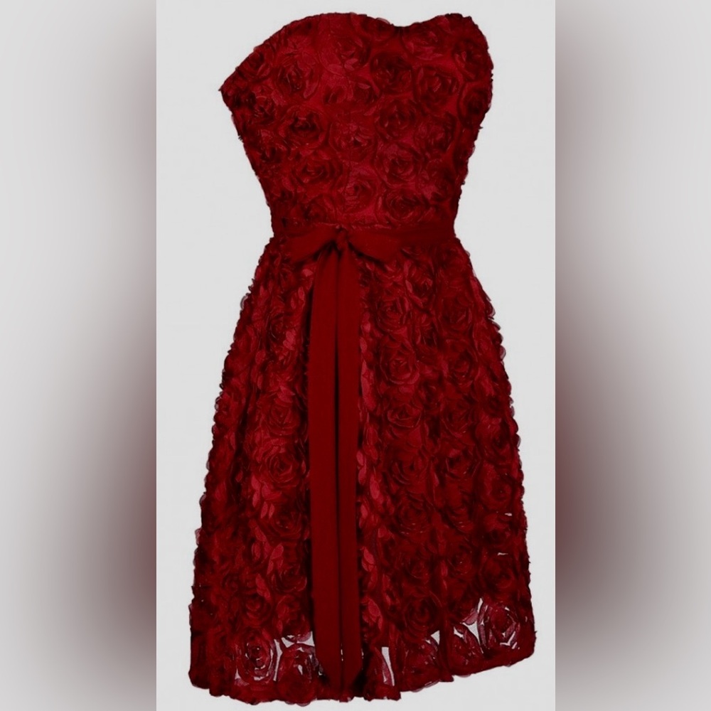 Rose dress! Beautiful!